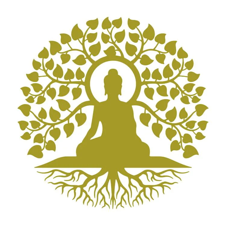 Programme Code Libert&eacute; acc&egrave;s &agrave; vie